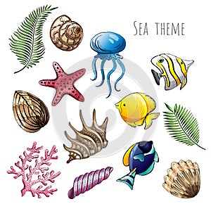 Set of seashells, starfish and jellyfish on white background for design.