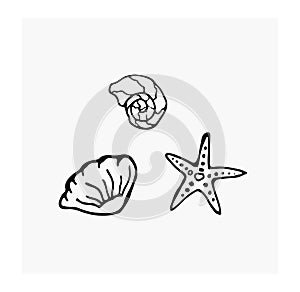 Set of seashells, starfish. Sea creatures.