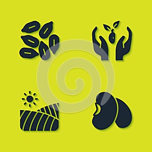 Set Seed, Beans, Agriculture wheat field and Plant in hand icon. Vector