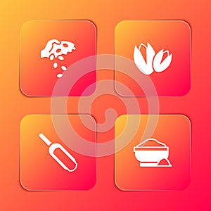 Set Seed, Pistachio nuts, Scoop flour and Flour bowl icon. Vector