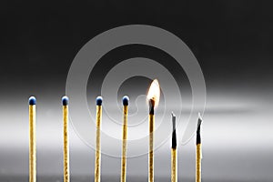 Set of seven matches burning in a chain reaction