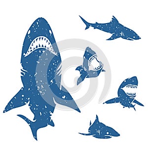 Set of Sharks