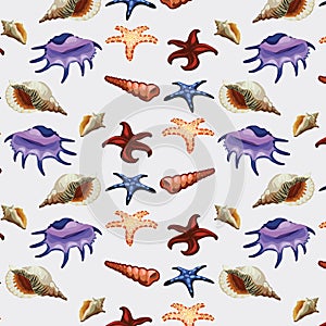 Set of shellfish and sea creatures