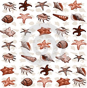 Set of shellfish and sea creatures