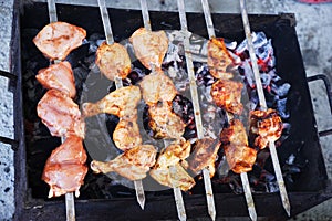 Set of Shish Kebabs or Barbecue Shashlik Collection on Charcoal Background with Herbs and Spices. Skewered Grilled Cubes