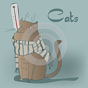 Set with siames kittens