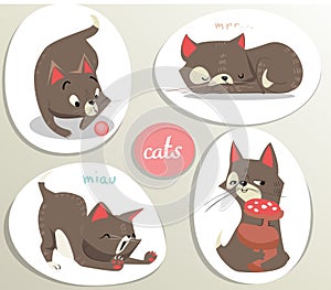 Set with siames kittens