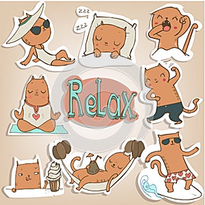 Set with siames kittens