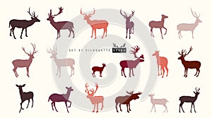 Set of silhouette of beautiful stylized deers. Collection of silhouettes of wild animals the deer family. ?hristmas animals for