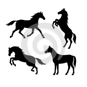Set of silhouette of horses. Isolated black silhouette of galloping, jumping running, trotting, rearing horse on white background