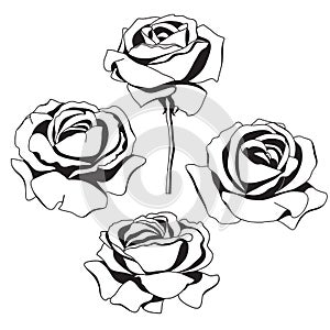 Set of silhouette of roses.