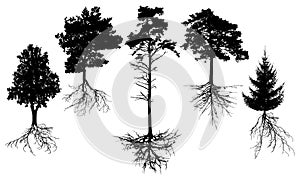 Set of silhouette trees with roots. Beautiful fir, pine, deciduous trees. Vector illustration