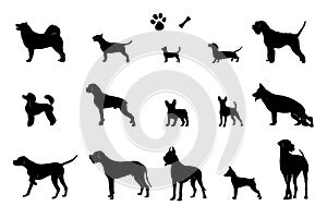 The set of silhouettes of 15 different dogs, bone and footprint. Vector.