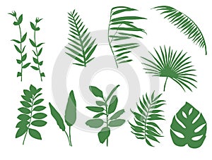 Set of silhouettes of blades of grass and leaves