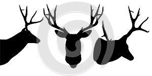 Set with silhouettes of a deer head in various positions isolated on a white background. Vector illustration