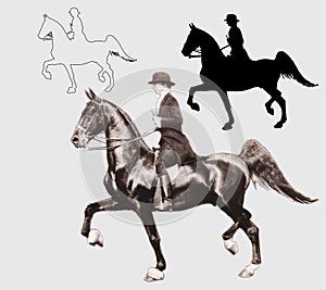 A set of silhouettes of different silhouettes of a woman on a horse,