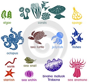 Set of silhouettes of different underwater marine animals with titles