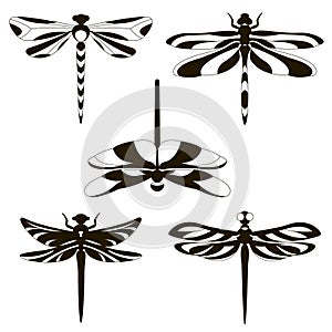 Set of silhouettes of dragonflies