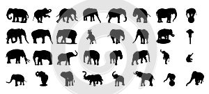 Set of silhouettes of elephants isolated on white background