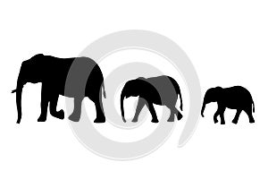 Set of silhouettes of elephants mom and babies isolated on white.