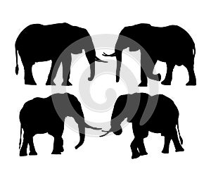 Set of silhouettes of elephants in safari, isolated on white background, vector