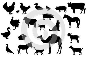 Set of Silhouettes of Farm and Domestic Animals, art vector design. Isolated