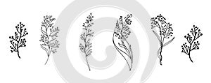 Set of silhouettes of flowers, roses, chamomile, dandelion, white on a white background. Vector file