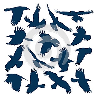 A set of silhouettes of flying crows (15 pieces)