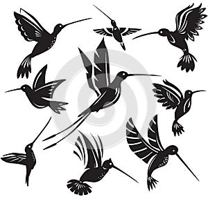 Set of silhouettes flying hummingbirds