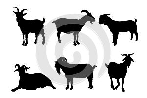 Set of silhouettes of goats farm vector design white isolated