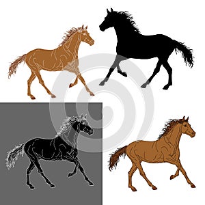 set of silhouettes horse