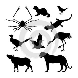 Set of silhouettes of Japanese animals. Black tiger, crane and pheasant on a white background