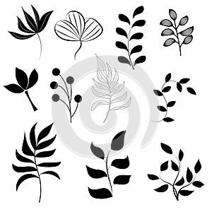 Set of silhouettes of leaves and branches of grass for design, black contours isolated on a white background. Flat vector