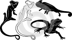 Set of silhouettes of reptiles lizard, chameleon