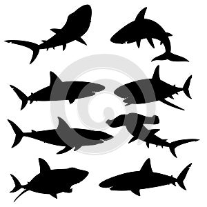 Set of silhouettes sharks on a white background