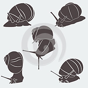 A set of silhouettes snail