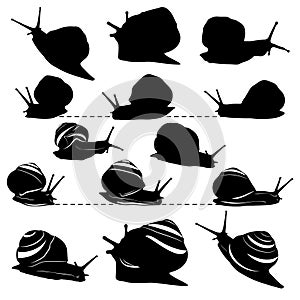 A set of silhouettes of snails