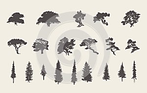 Set silhouettes trees pine fir cedar vector sketch