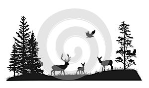 Set of silhouettes of trees and wild forest animals. Deer, fawn, doe, owl, bird of pray. Black and white hand-drawn illustration