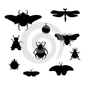 A set of silueta with insects. Illustration of black beetles, wasps, flies, butterflies, moths, dragonflies. Types of photo