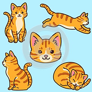Set of simple and adorable Orange Tabby cat illustrations outlined