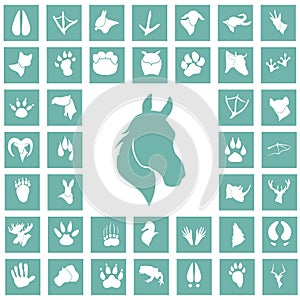 Set of simple animals icons