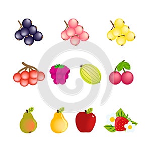 Set of simple cartoon icons of fruits and berries isolated on white background. Vector clipart images of currant, viburnum, photo