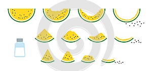 Set of simple and cute vector illustrations of yellow watermelon.