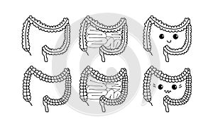 Set of simple gastrointestinal illustrations of bowel internal system. Healthy gut concept. Human body parts in vector