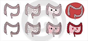 Set of simple gastrointestinal illustrations of bowel internal system. Healthy gut concept. Human body parts in vector