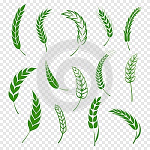 Set of simple green wheats ears icons and wheat design elements for beer, organic or local farm fresh food, bakery