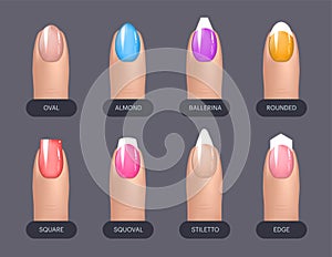Set of simple realistic colorful manicured nails with different shapes. Vector illustration for your graphic design.