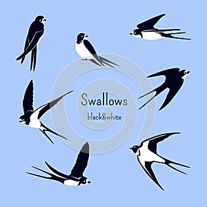 Set of simple swallows