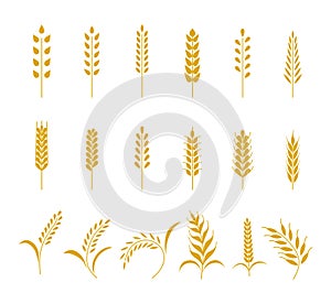 Set of simple wheats ears icons and grain design elements for beer, organic wheats local farm fresh food, bakery themed